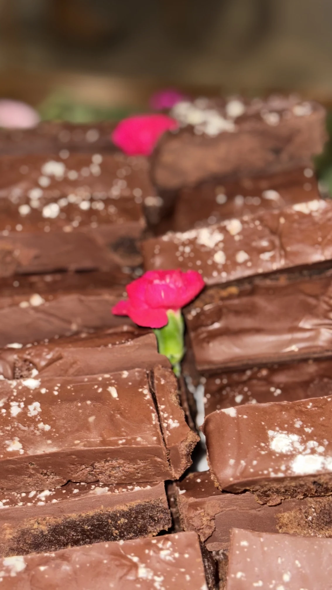 Chocolate brownies prepared for an event