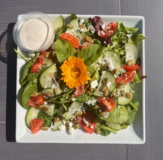 Fresh catering salad